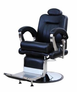 salon chair with price